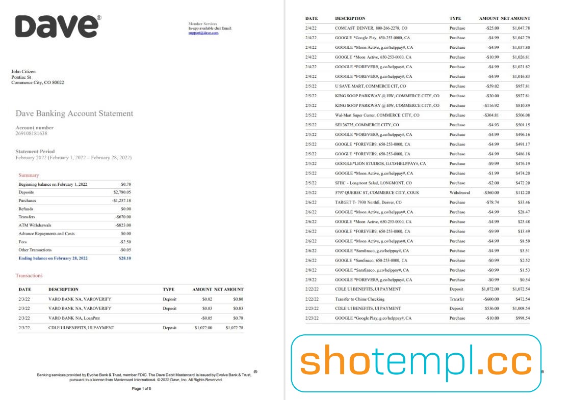 Dave Bank Statement PDF Template